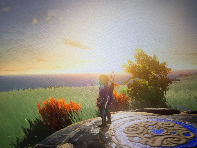 Illustration for article titled Here are Some of my Favorite Screenshots from The Legend of Zelda: Breath of the Wild